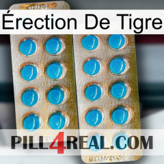 Érection De Tigre new08